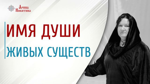 Имя души | Как зашифровано имя души | Имя души живых существ | Арина Никитина смотреть онлайн