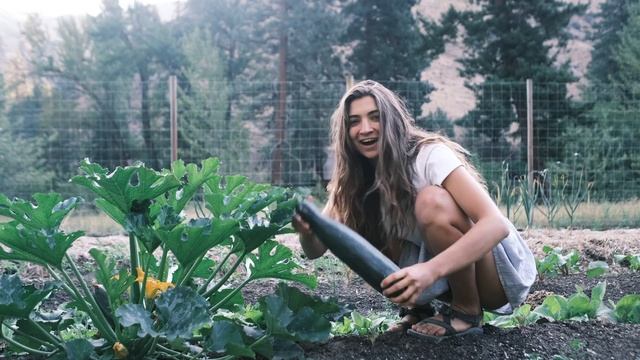 Daily Routines In The Mountains - Summer (Story 87) смотреть онлайн