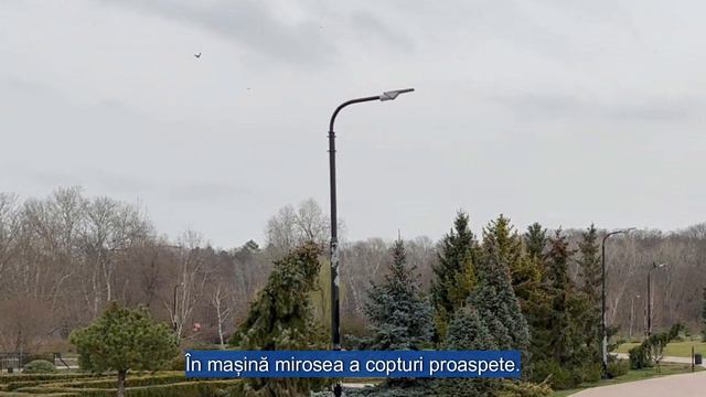 Ajungând la casa părinților soțului ei, soția a auzit o conversație de la fereastră. Apropiindu-se. смотреть онлайн
