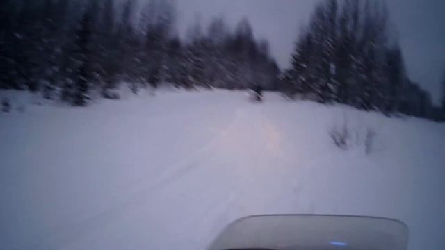 Дорога.Тайга.Изба