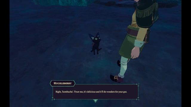 What The Huck?! - Homestead Arcana #13