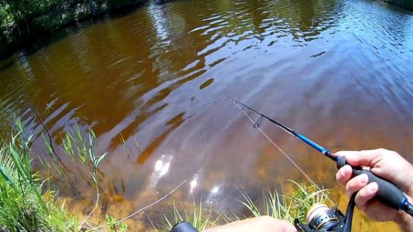 Сравниваем копии от Биркинг и Алблю на Воблер Jackall Rerange 130SP!