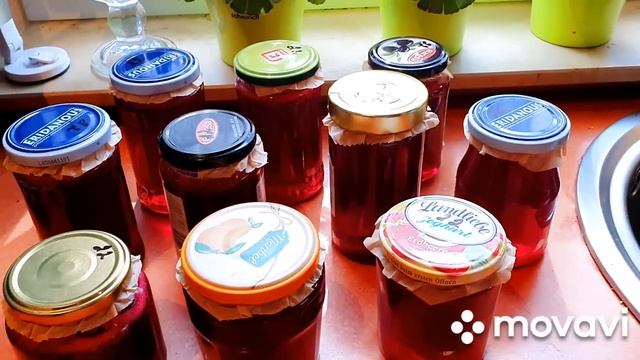 СТО ДЕЛ ОДНОВРЕМЕННО ?/ ЯЗЫК НА ПЛЕЧО ?/ ЧЕСНОЧНОЕ МАСЛО / ЖЕЛЕ ИЗ КРАСНОЙ СМОРОДИНЫ / И ДР смотреть онлайн