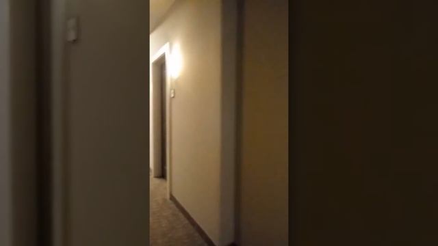 WARNING: crazy karen" domestic issues at the vue apartments lady is crazy смотреть онлайн
