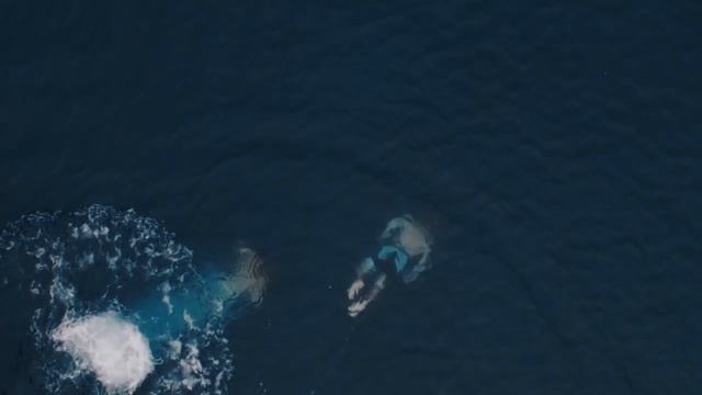 ludus amoris смотреть онлайн