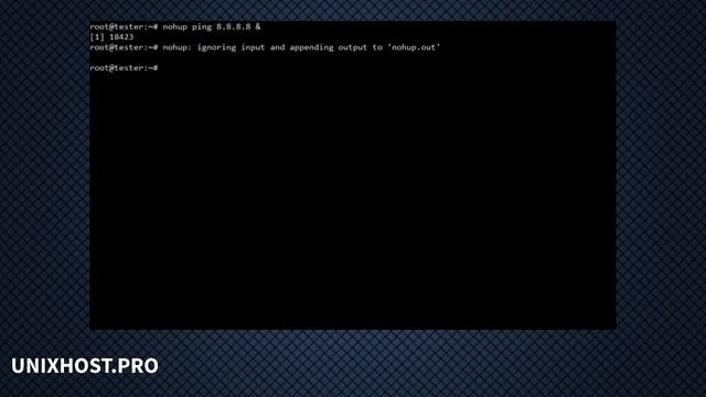 nohup - запускаем процессы в фоновом режиме | UnixHost смотреть онлайн