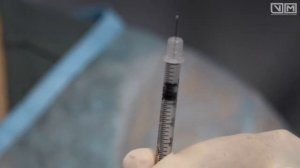 Техника проведения инъекции инсулина кошке