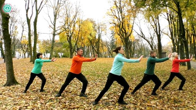 5 СТИХИЙ ВНУТРИ НАС: Комплекс У-СИН для Гармонизации Пяти Элементов смотреть онлайн