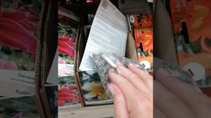 Купили проросшие луковицы лилий?Что делать?