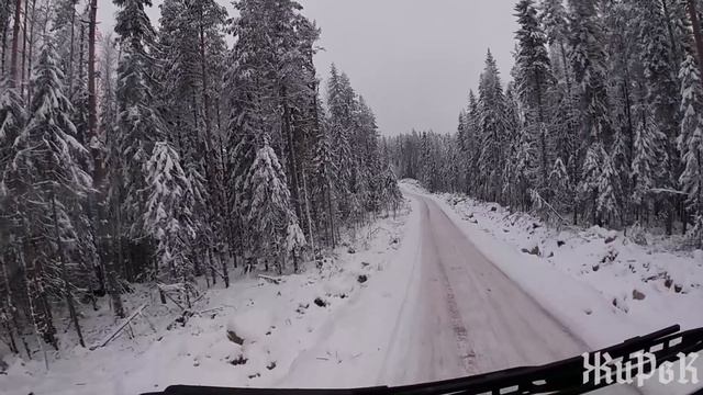 Лесовозы Вольво на новой делянки. Никогда такова не было и тут опять... смотреть онлайн