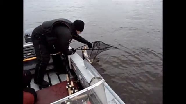 Щука пойманая на Джеркбейт Ё - Аравана смотреть онлайн