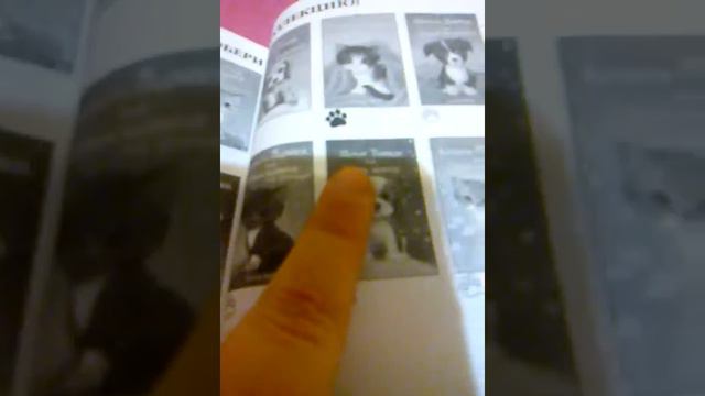 #обзорнакнигу\ сильно много читала летом Холли Вебб смотреть онлайн