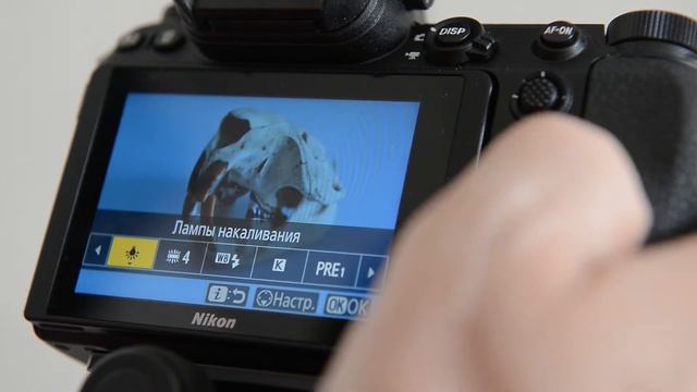 Фотоурок: Nikon Z7 Macro