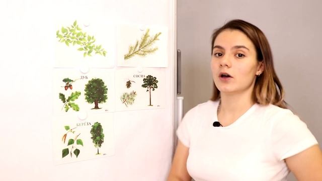 Развивающее занятие для детей. РОД Солнечный мир. Гилметдинова Владлена. Занятие 2. смотреть онлайн