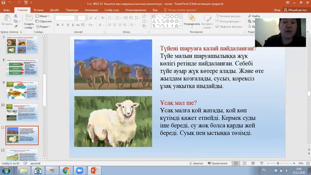 Көшпелі мал шаруашылығының қалыптасуы смотреть онлайн