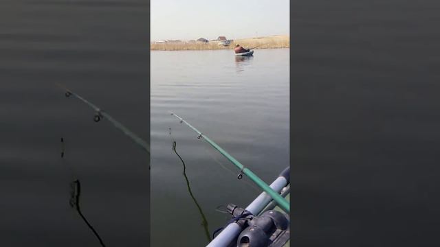 голубой залив смотреть онлайн