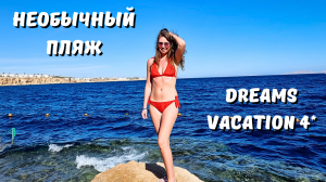 Египет 2024/ ОСТАЛИСЬ БЕЗ МАСКИ?/ НЕОБЫЧНЫЙ пляж и СЫТНОЕ питание в отеле Dreams Vacation 4*