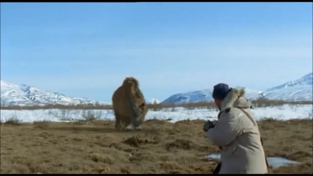 TRILOGY OF LIFE - Prehistoric Park - 