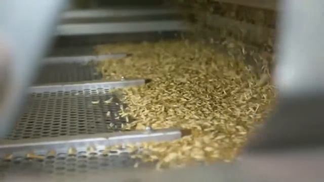 Ферма Golden Einkorn СОЛТ, ФРАНЦИЯ Янг Ливинг смотреть онлайн