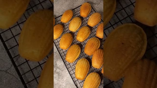 Мадлен ?приготовьте не пожалеете смотреть онлайн