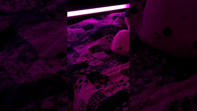 Умная подсветка от Xiaomi смотреть онлайн