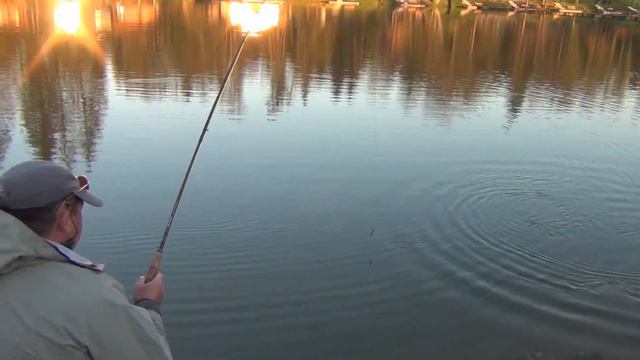 сом нахлыстом на вули багер смотреть онлайн