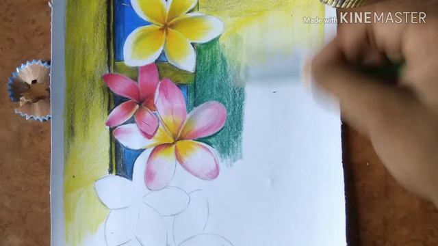 realistic Colored pencil drawing plumeria flowers #Plumeria #Drawingpencil смотреть онлайн
