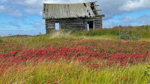 БЕЛОЕ МОРЕ. Терский берег. ЧАСТЬ 3
