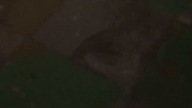 ШОК! ВОРОНЕЖ, ЛЕНИНСКИЙ ПРОСПЕКТ 203! АД В ВОРОНЕЖЕ!