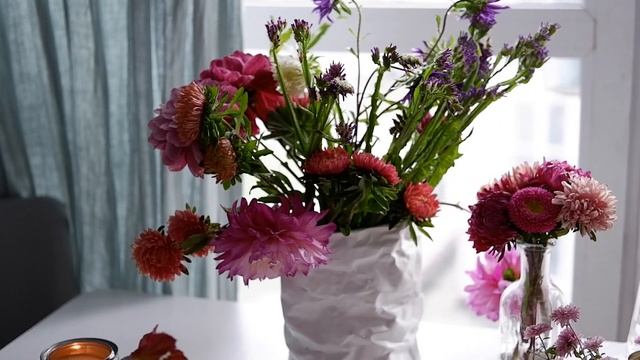 Растения в интерьере. Садим вереск. Пересадка серебристой бегонии. Приложение отдам даром. смотреть онлайн