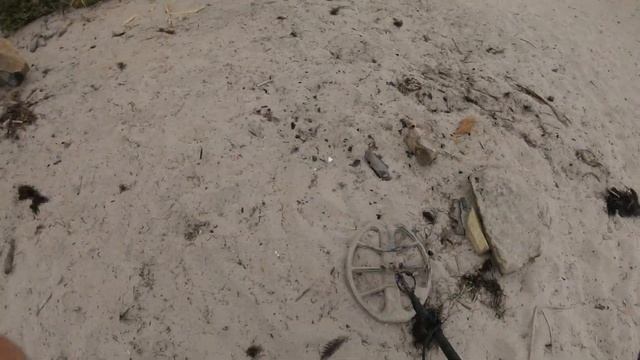 Beach Metal Detecting Gold & Silver смотреть онлайн