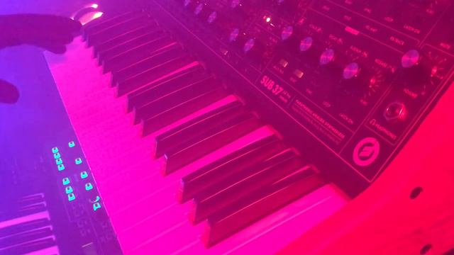 Casio Dg-20 / Oberheim DMX / Darkwave / Synthwave смотреть онлайн