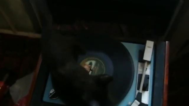 Крутится вертится шар голубой.mpg смотреть онлайн