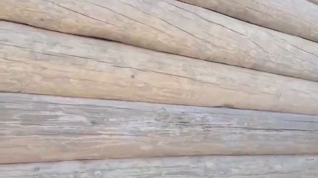Шлифовка сруба пескоструйная, очистка сруба от серости смотреть онлайн