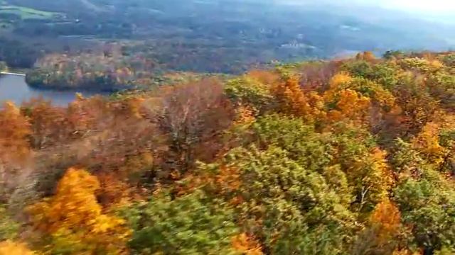 Футаж Осень 2 смотреть онлайн