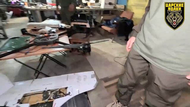 Боевой учебный центр "Царские волки" на Донбассе смотреть онлайн