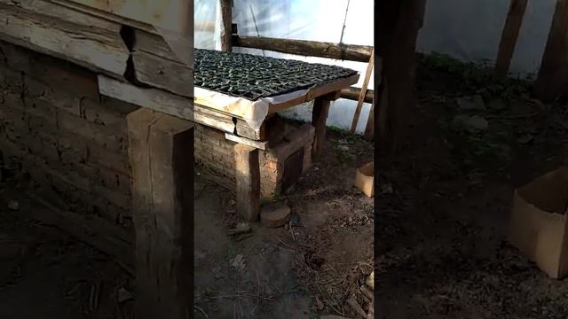 Обзор печек в рассаднике. смотреть онлайн