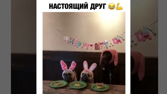 ЧТО ЗНАЧИТ НАСТОЯЩИЙ ДРУГ смотреть онлайн