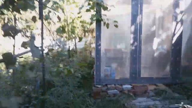 ОГОРОД В АБХАЗИИ. ЧТО ТУТ РАСТЁТ смотреть онлайн