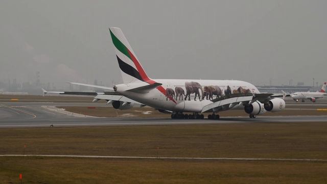 Airbus A380-800 Emirates A6-EEI "United for Wildlife" Vienna International Airport VIE. смотреть онлайн
