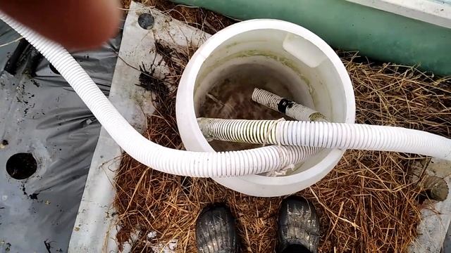 После промывки кокосовых матов Перекисью водорода! смотреть онлайн