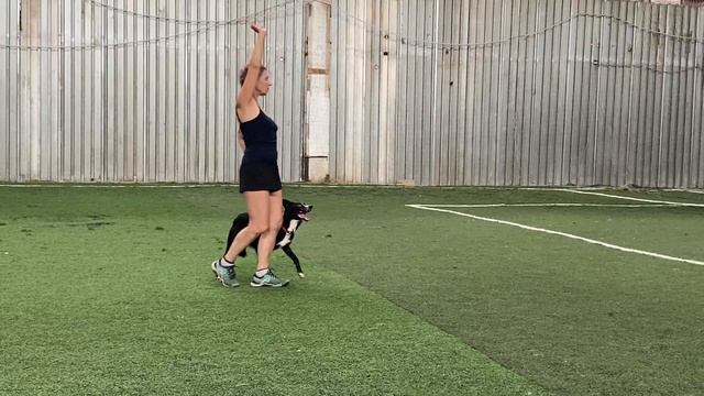 Танцы с собаками Dog dance Тимошина Светлана & Брина. Танец "Магия Востока".Тренировка.05.06.2023 г смотреть онлайн