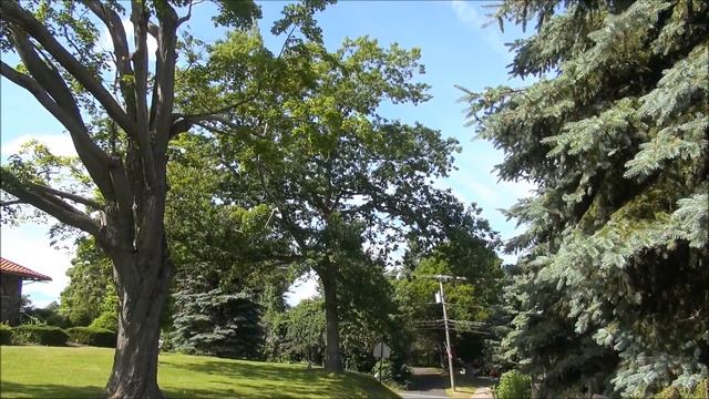 Charter Oak Project Part 50 : Prospect Town Green смотреть онлайн