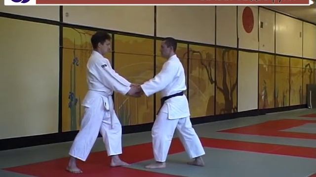 Атаки в айкидо: рёте дори смотреть онлайн