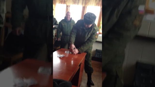 Рыбоед аквариумный смотреть онлайн
