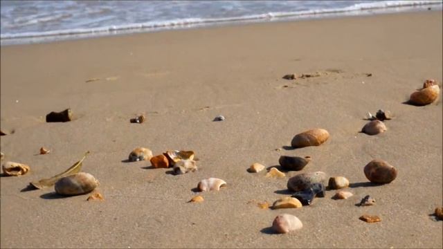 Sony NEX 5T Video Filming Test смотреть онлайн