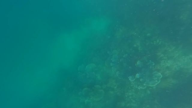 ВЫЖИВАНИЕ НА ОСТРОВЕ С ТУРБО ГАВАЙКОЙ из мусора для подводной охоты в океане остров МАЙНКРАФТ №5 смотреть онлайн