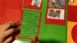 Проект по окружающему миру 2 класс Красная книга или Возьмём под защиту Арина Миськив