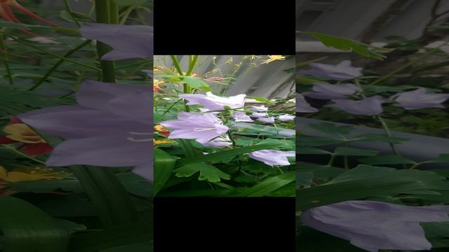20230528_182626.mp4 смотреть онлайн