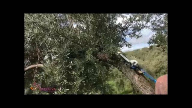 Sierra a Bateria Kronos 58 - Campagnola смотреть онлайн